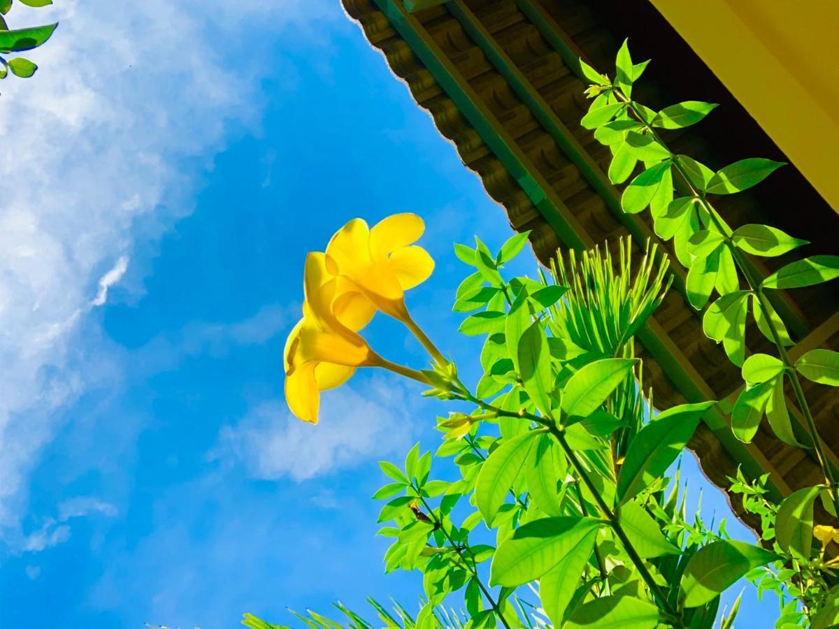 Canary Bungalow Duong Dong Exterior foto